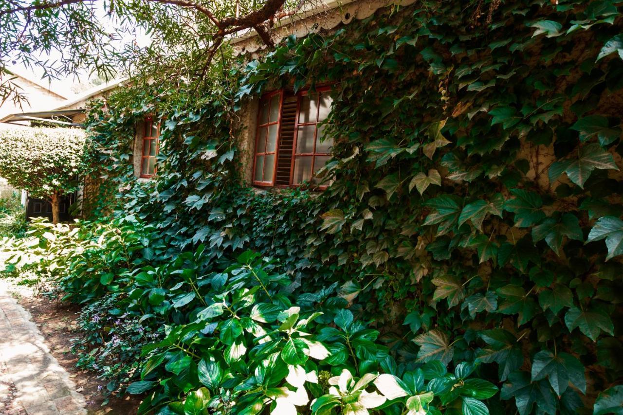 Hotel Town And Country Mpumalanga Middelburg  Exteriér fotografie